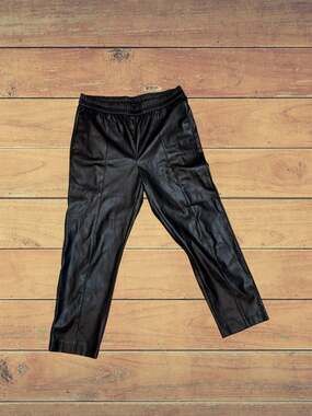 Ann Taylor Faux Leather Pull-On Tapered Ankle Pants Size L